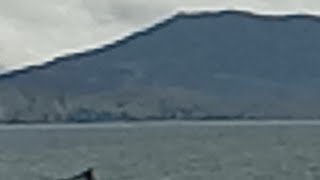 Taal Volcano Live  May 72021 [upl. by Behlau890]