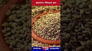 ଜୁଆଣି ର ଚମତ୍କାରି ଔଷଧୀୟ ଗୁଣ  Juani ra upakarita  Juani benefits  Ajwain Benefits in Odia [upl. by Glory]