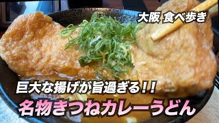 【大阪本町】巨大な揚げが旨過ぎる！名物きつねカレーうどん [upl. by Patin]