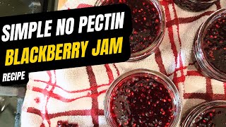 Homemade Blackberry Jam Recipe  No Pectin [upl. by Omoj]