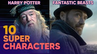 Top 10 Harry Potter Characters appearing in Fantastic Beasts The Crimes of Grindelwald [upl. by Ailefo4]