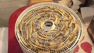 Dehydrating Bananas [upl. by Toy274]