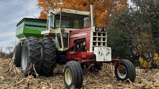 12 Minutes of 310 Turbo Waukesha Sound Cockshutt 1955 on the Buggy [upl. by Yraccaz]