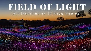 Sensorio Field of Light Art Installation with over 50000 Lights in Paso Robles [upl. by Nodal341]