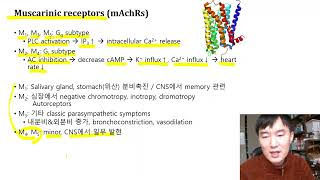 약리학 콜린성약물 part1 202112 [upl. by Nosirrah443]