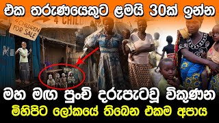 මහමඟ පුංචි දරුපැටවූ විකුණන සැබෑ ලෝකයේ අපාය  Worlds Poorest Country Burundi [upl. by Ardell]