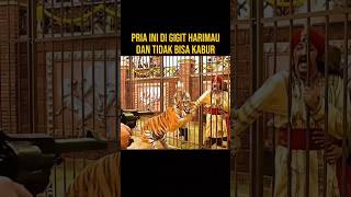 HARIMAU INI NGAMUK DI PAKSA MELAWAN SAUDARA NYA SENDIRI alurceritaflim film [upl. by Lisab]