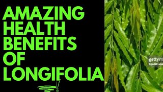 HEALTH BENEFITS OF LONGIFOLIA [upl. by Arba538]