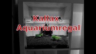 Mein neues Projekt KallaxAquarienregal [upl. by Collette308]