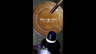 Blue Lily Bliss Euphoria ElixirRecipe Reelmp4 [upl. by Annalee]