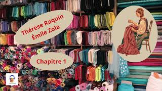 Thérèse Raquin  Émile Zola  Chapitre 1  Livre Audio Gratuit [upl. by Humberto]