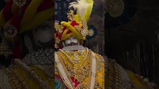 happy trendingshorts shyaam shyambaba baba khatushyam viralvideo video trending [upl. by Llessur197]