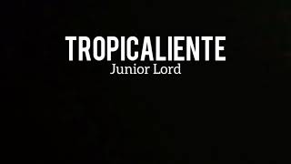 Tropicaliente  Junior Lord  Coreografia [upl. by Idmann550]