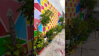 Garden wall painting ideas gardenwall wallpainting diywallart diygardenideas ytshorts diy [upl. by Mackay]