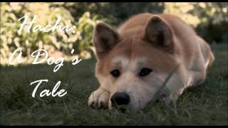 Hachi A Dogs Tale  Goodbye [upl. by Marybelle]