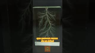 ¡Así es Cómo la Electricidad Transforma Vidrio en Algo Increíble datocurioso curiosidades [upl. by Esiom]