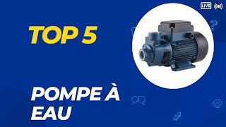 Top 5 Meilleure Pompe à Eau 2024  Les 5 Pompe à Eau Modèles [upl. by Ahsait]