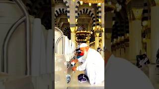 Rab ko Dekha He Mere Nabi ﷺ Ne ❤ Beautiful Naat Shareef  shortvideo naatsharif shortsviral naat [upl. by Hourihan]