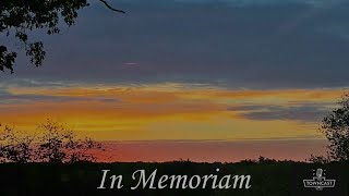 In Memoriam 2022 [upl. by Pish]