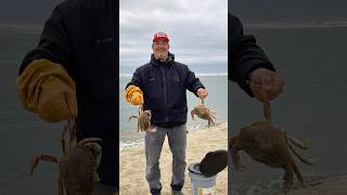 Shore Crabbing Netarts Bay Pole Crab Jaw Hawk Daddy crabbing fishing oregon travel shellfish [upl. by Aicirtam]