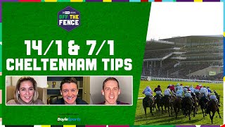 OFF THE FENCE  141 amp 71 CHELTENHAM PICKS ALLEGORIE DE VASSY  FESTIVAL TRIALS DAY PREVIEW [upl. by Esekram]