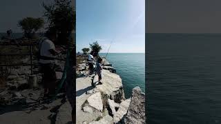 Fishing at Lakeshore ￼ Ontario [upl. by Uamak]