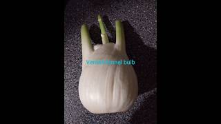 Venkel or fennel thoran thoranrecipe tastyrecipes shorts new belgium venkel villagecooking [upl. by Norrat445]