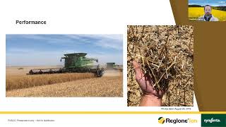 Reglone Ion Optimizing Canola Harvest  Chadrick Carley Syngenta [upl. by Rambort]