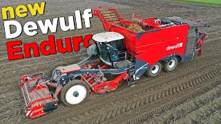 Preview NEW Dewulf Enduro potato harvester  First indepth look  Kwatro vs Enduro [upl. by Sloane517]