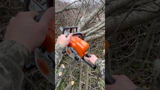 STIHL  MS 180 в роботі [upl. by Lucien673]