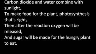 Mr Lee  Photosynthesis verse [upl. by Docila]