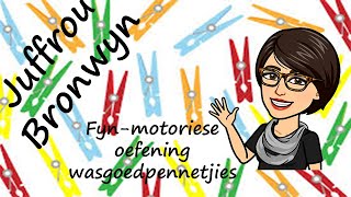 Persepsie Fynmotoriese aktiwiteit met wasgoedpennetjies [upl. by Zweig234]