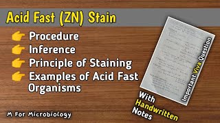 Acid Fast Ziehl Neelsen Stain  Procedure  Inference  Principle  Example of Acid Fast Organisms [upl. by Dianne]