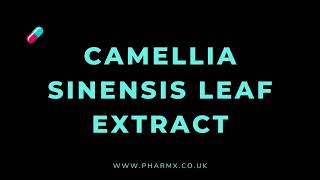 How to pronounce Camellia sinensis leaf extract [upl. by Butterfield]