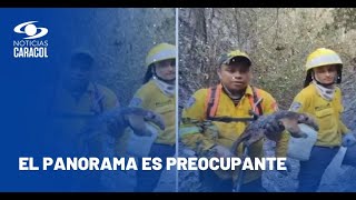 Incendios forestales han afectado flora y fauna en Huila Tolima y Boyacá [upl. by Charla864]