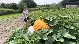 Jack amp Bubba Orange Pumpkin patch tour by Jackson [upl. by Unam824]