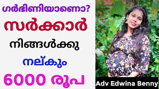 Pregnant Women Malayalam  Government give 6000rs  Pregnancy Aid Yojana Scheme Malayalam [upl. by Weixel]