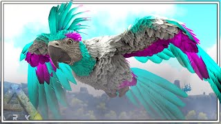 WE CREATE THE MOST BEAUTIFUL PARROT EVER   ARK Caballus Episode 14 [upl. by Roger]