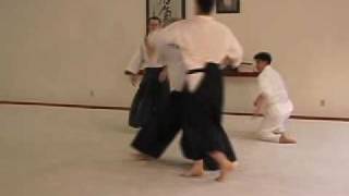 Aikido Randori  Working the Centers [upl. by Marozas712]