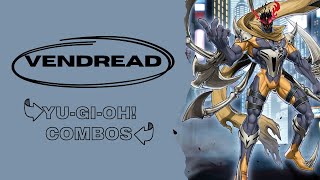 YuGiOh Vendread Punk Combos 2024 ft Horus amp Punk  Vendread Impcantation EDOProYGOPro [upl. by Arlina718]