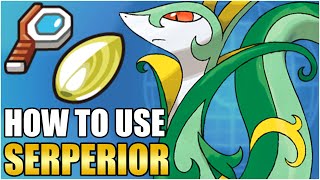 Best Serperior Moveset Guide  How To Use Serperior Competitive VGC Contrary Pokemon Scarlet Violet [upl. by Marybelle]