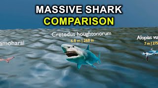 Can You Believe the LARGEST Shark in the World  Comparison 3D [upl. by Ben]