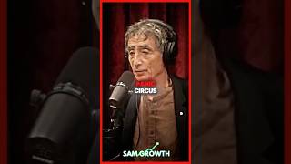 Dr gabor Mate Explains Anxiety in Children shorts [upl. by Rehpotsirhcnhoj262]