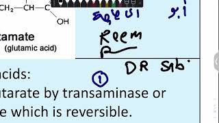 Bio 3A Acidic A A Aspartate And Glutamate 1 [upl. by Kado]