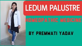 Homeopathy medicine Ledum PALUSTRE in Hindi by Premwati Yadav [upl. by Flavia887]