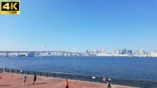 Toyosu Ariake Tokyo Morning Walk [upl. by Fortna45]