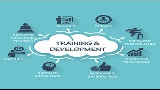 Training amp Development Process in HRM Hindi  Urdu [upl. by Milli143]