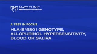 A Test in Focus HLAB5801 Genotype Allopurinol Hypersensitivity [upl. by Mellen]