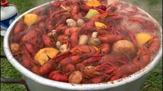 Louisiana Boiled Crawfish with fixings in 35 minutes [upl. by Stiles]