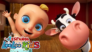 🐤🐥Los Pollitos Dicen Pio Pio  La Vaca Lola  Canciones Infantiles para niños  LooLoo Kids [upl. by Bywoods]